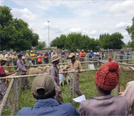 Harvesting Heritage People gallery, photograph 3